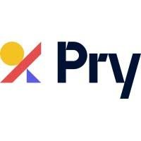 Pry Financials